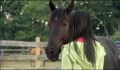 dr dolittle 3-avi_538.jpg
